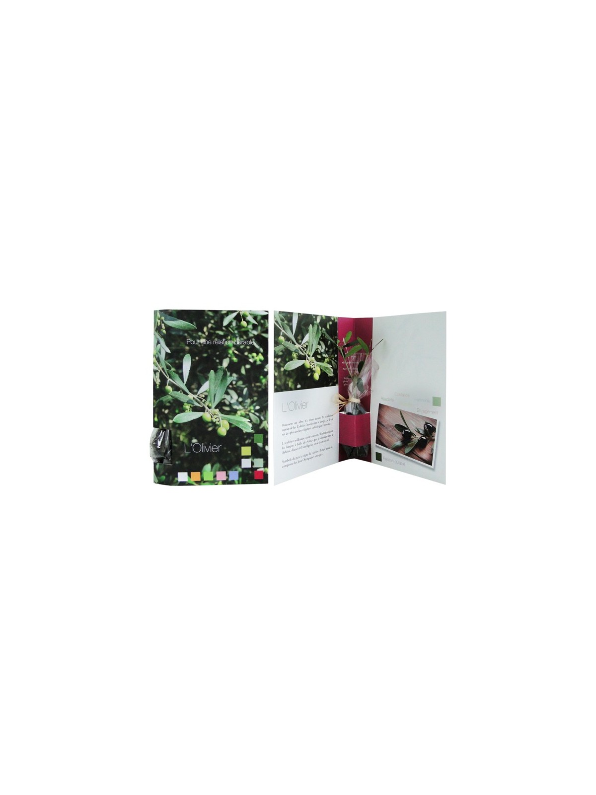 51-016 Plantes postales personnalisé