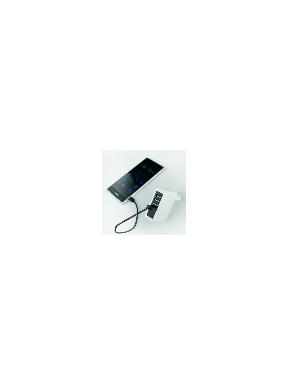 75-039 Secteur multiports USB personnalisé