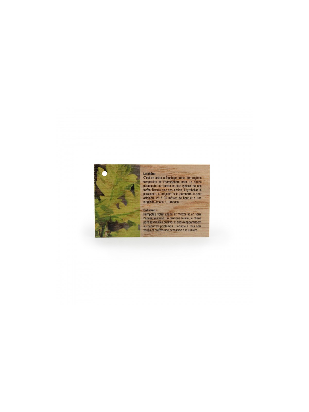 51-026 Carte en bois publicitaire (85 x 54mm) personnalisé