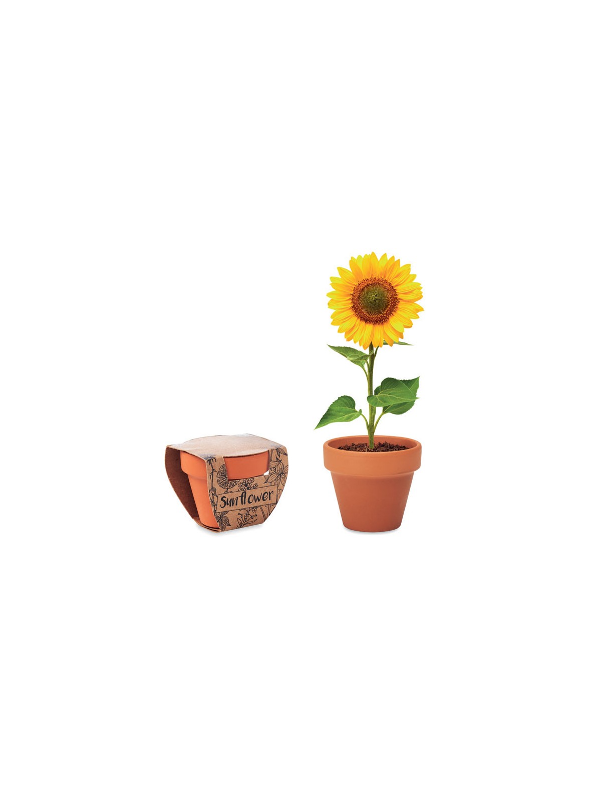 42-074 Pot fleurs avec graines de tournesol personnalisé
