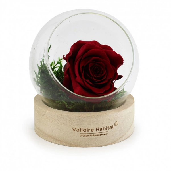 Globe rose éternelle Made in France