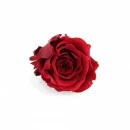 Globe rose éternelle Made in France